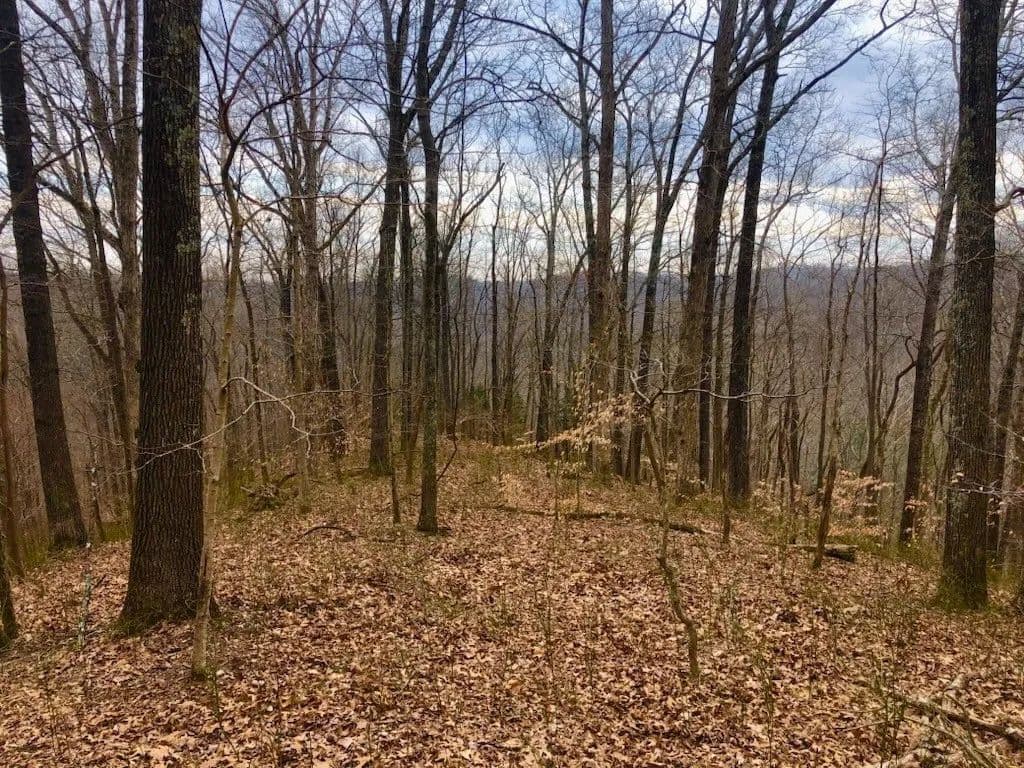 2 Acres of Land for Sale in Whites Creek, TN - Whites Creek, Tennessee, 37189