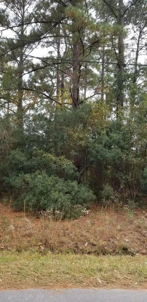 Vacant Land in WALTERBORO - Walterboro, South Carolina, 29488