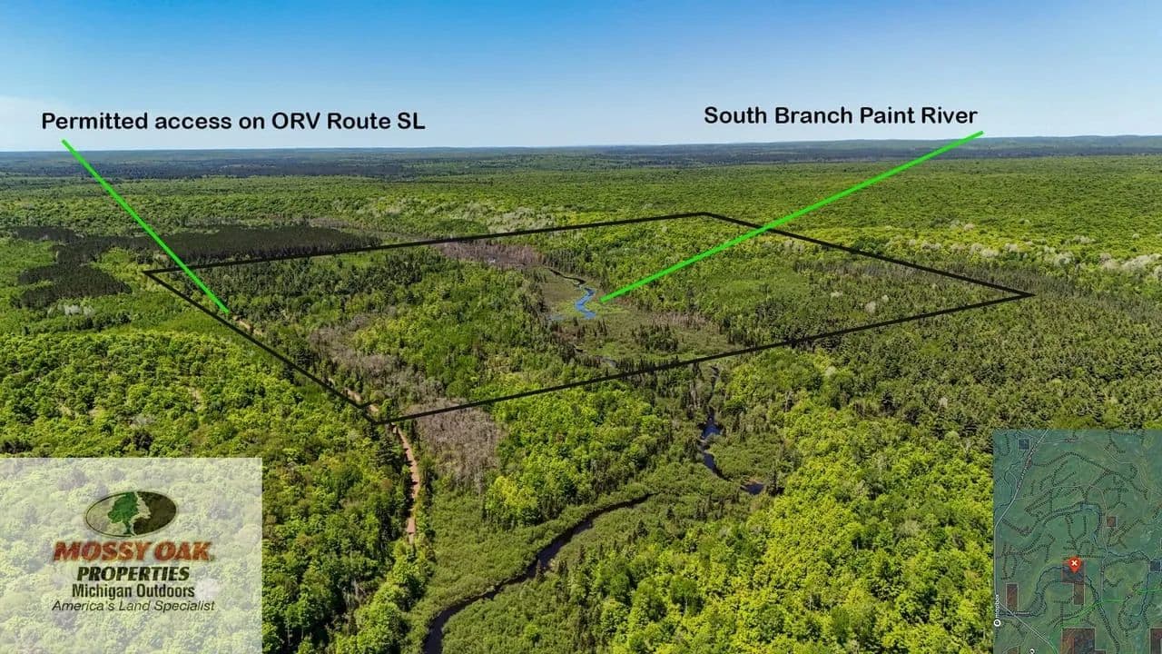 Land for Sale - 160 Acres Iron County Michigan- Iron River - Iron River, Michigan, 49935