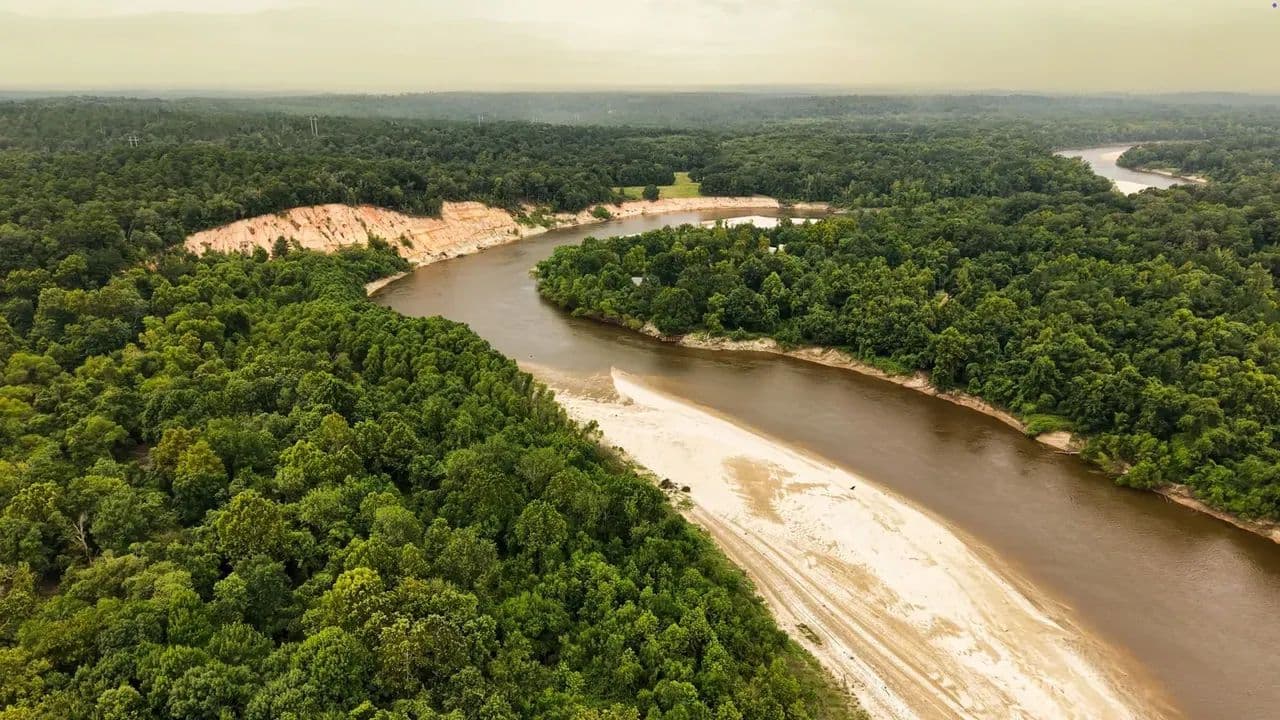 24.92 Acres - Pearl River County, MS - Columbia, Mississippi, 39429
