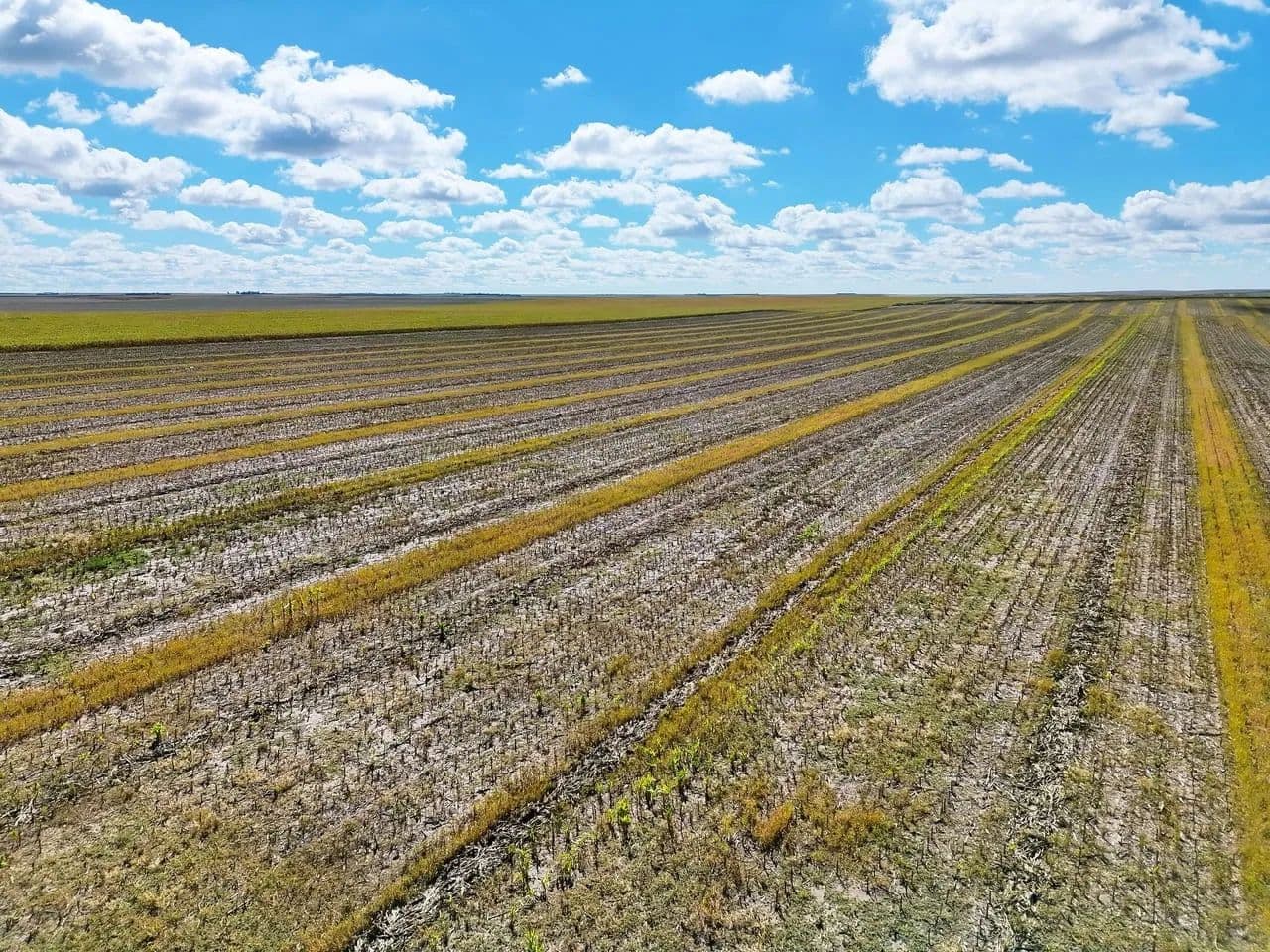 Quality Tillable Quarter with Cropland Cash Lease Agreement - Lodgepole, Nebraska, 69149