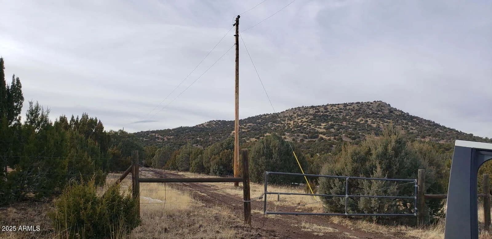 Vacant Land in Concho - Concho, Arizona, 85924