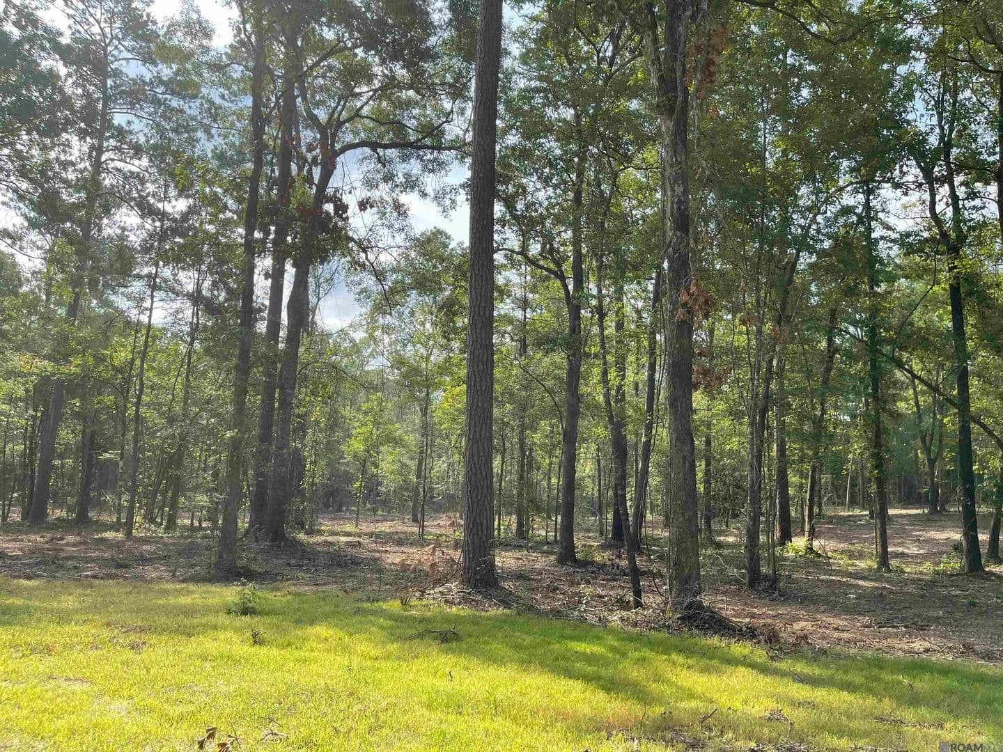 5.14 Acres of Land for Sale in Clinton, Louisiana - Clinton, Louisiana, 70722