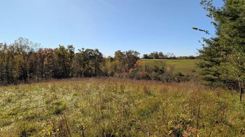 Property from 8649 Portie-Flamingo Road SE - KW