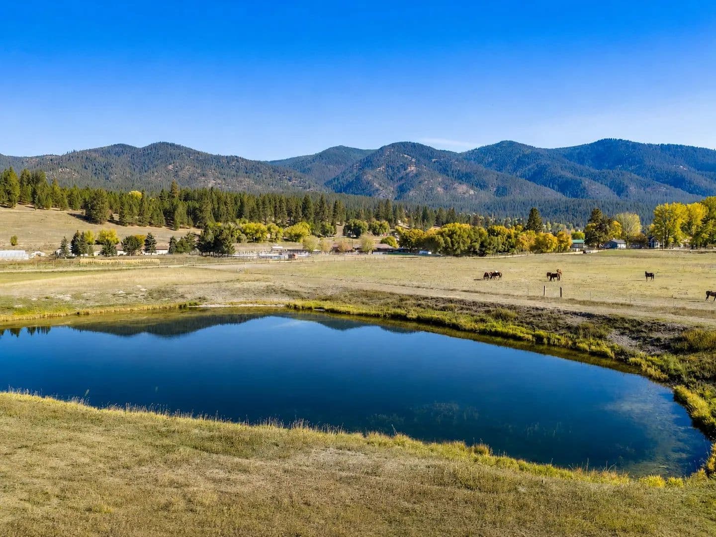Vacant Land in Frenchtown - Frenchtown, Montana, 59834