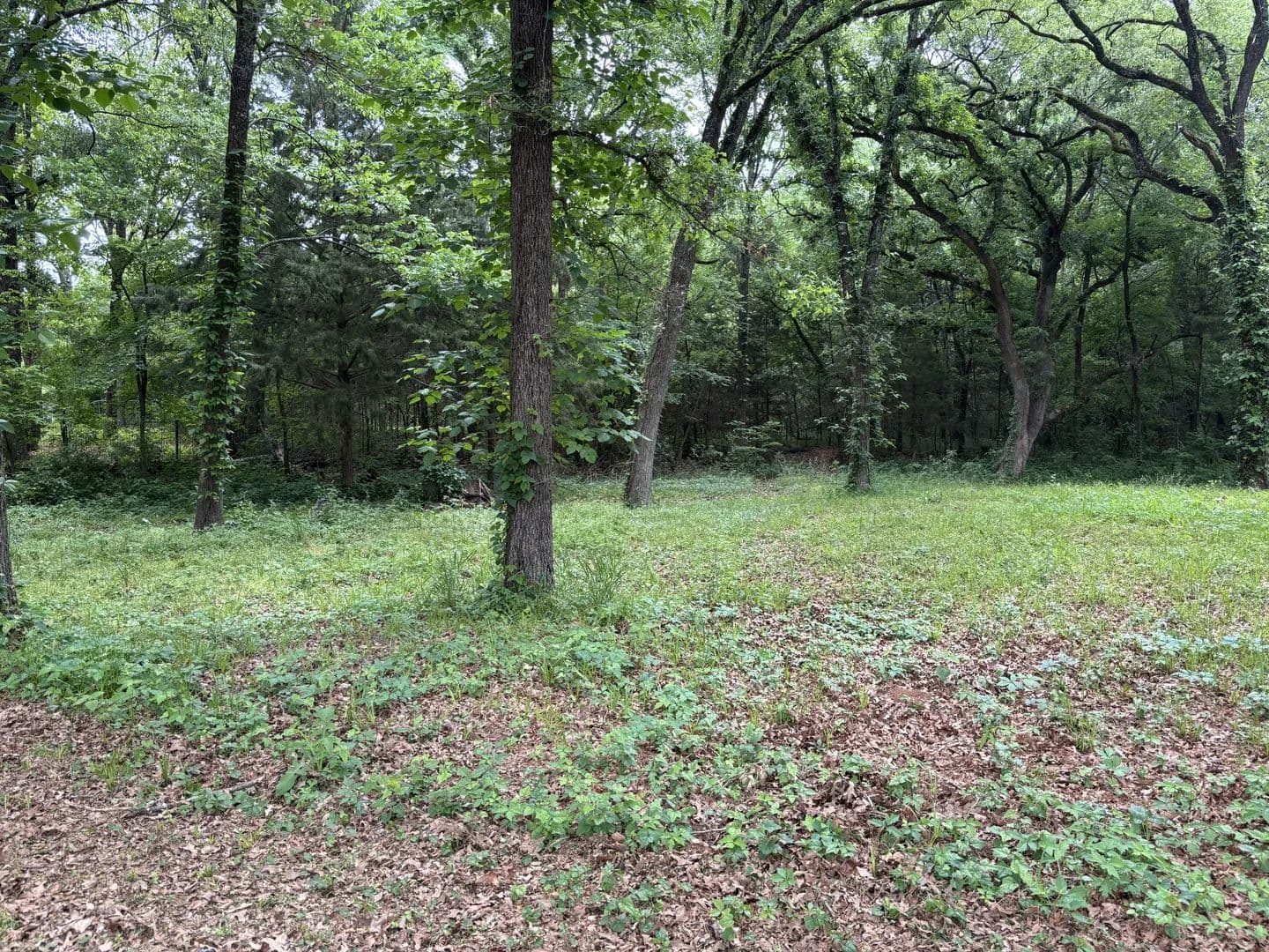 Land -Agricultural (Not Zoned) in Quinlan - Quinlan, Texas, 75474