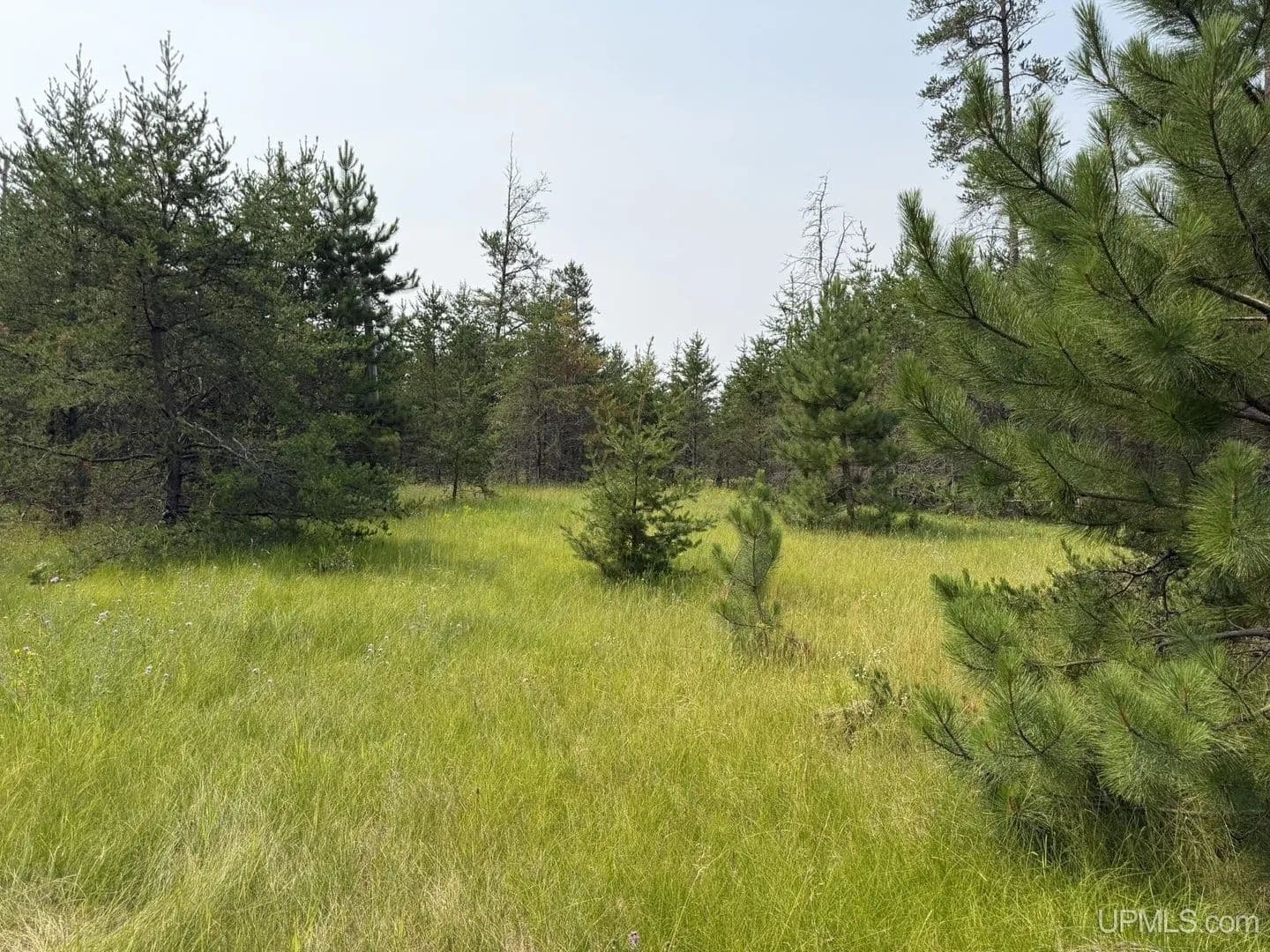 Lots & Land-Other in Gwinn - Gwinn, Michigan, 49841