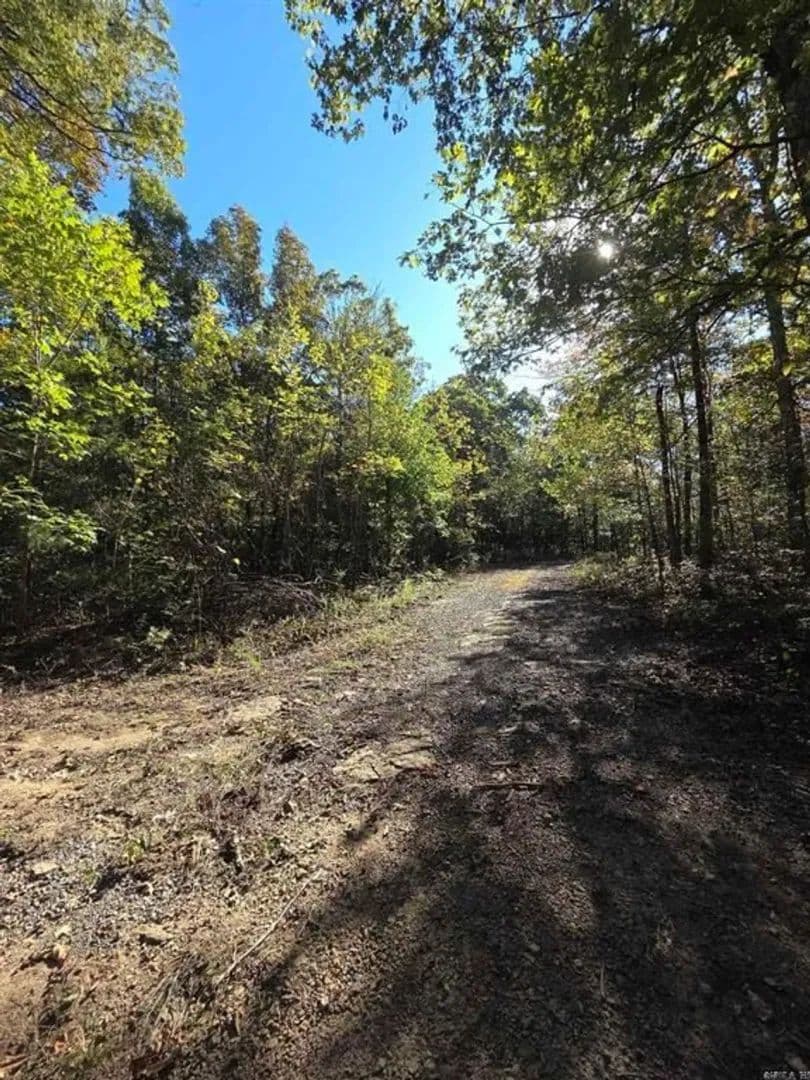 10 +/- Acres, Unrestricted Land Near Clinton, AR | Build, Hunt or Homestead