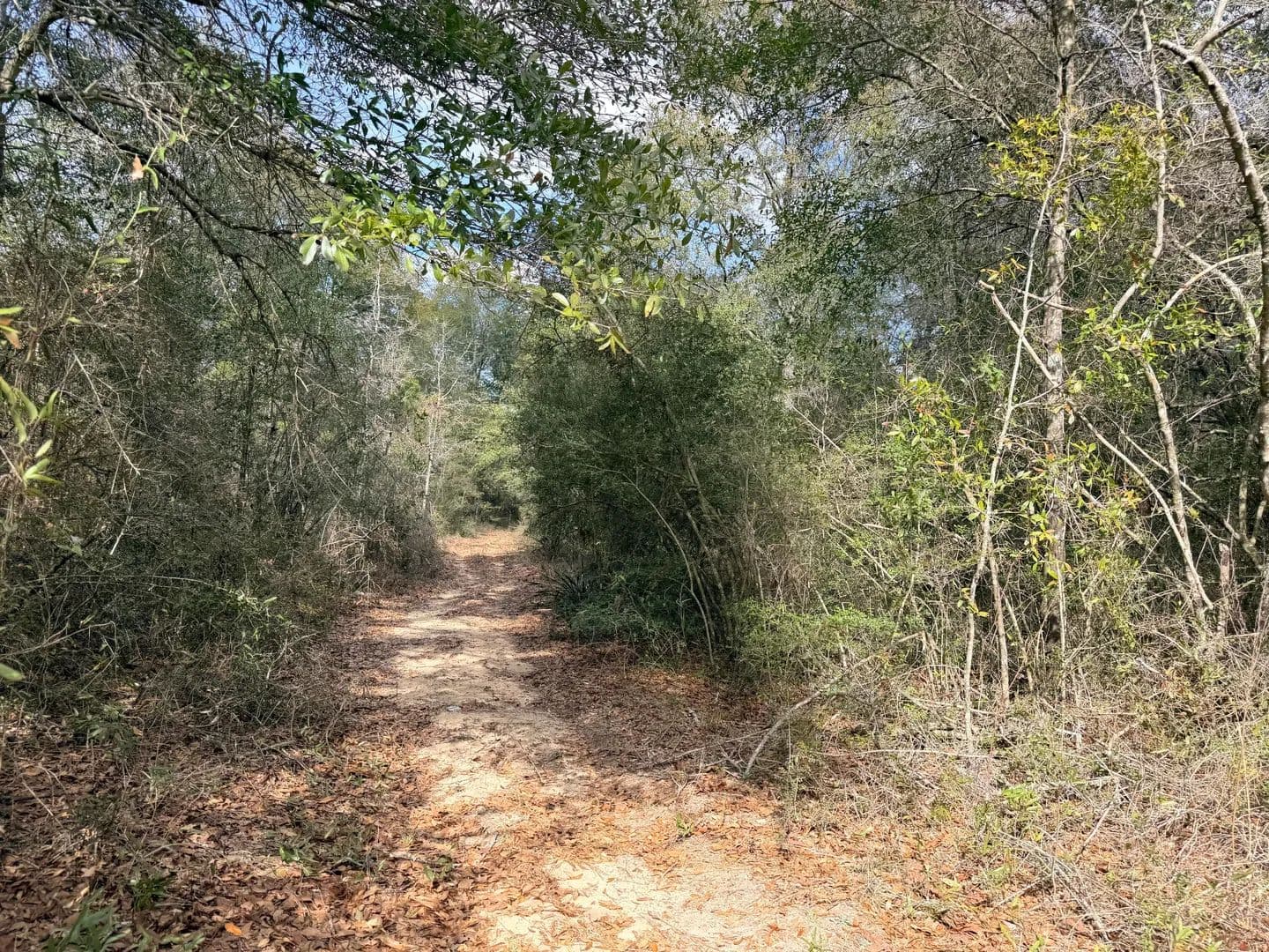 Vacant Land in Crestview - Crestview, Florida, 32539
