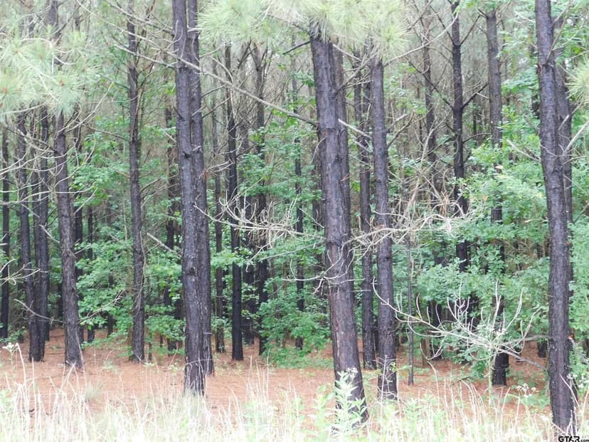 Vacant Land in Gilmer