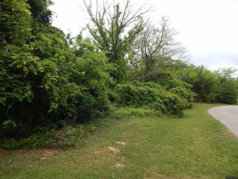 Vacant Land in Quitman