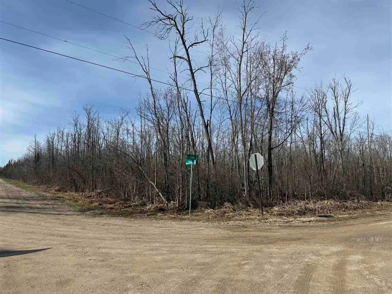 Lots & Land-Other in Levering - Levering, Michigan, 49755