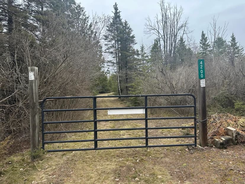 Vacant Land in Alpena