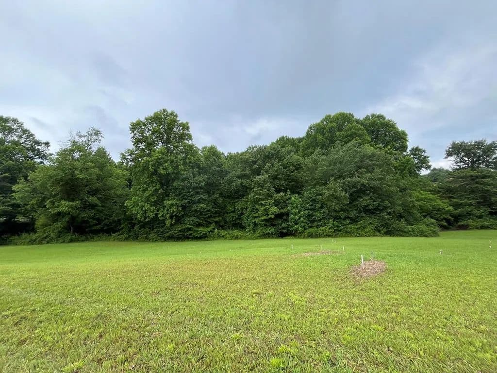 Lots & Land-Other in Blairsville - Blairsville, Georgia, 30512