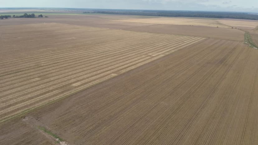 LA - Morehouse Parish 320 acres +/-