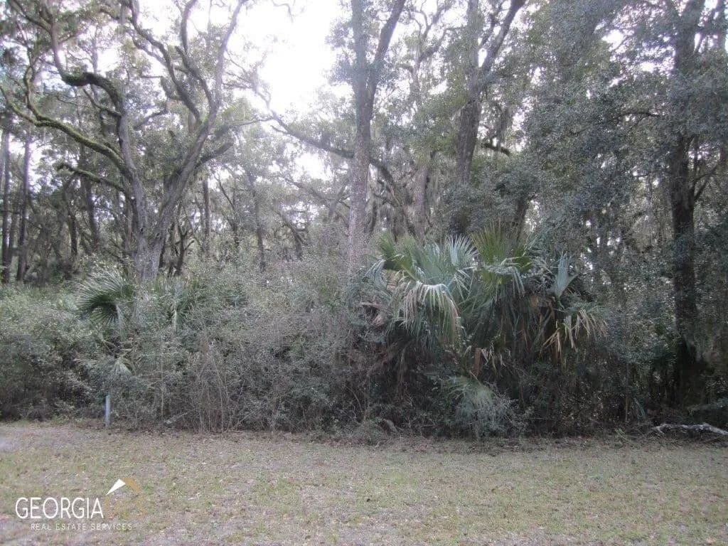 Lots & Land-Other in St. Marys - Georgia, 31558