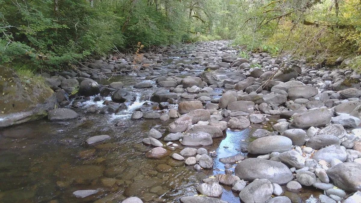 Trinity Falls - Scotts Mills, Oregon, 97373