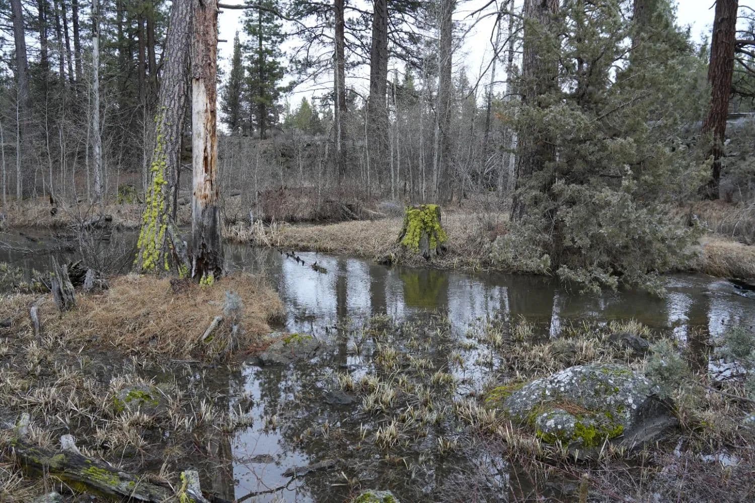 Property from 0 Old State Hwy - KW - Macdoel, California, 96058