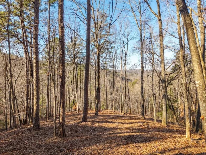 Lots & Land-Other in Talking Rock