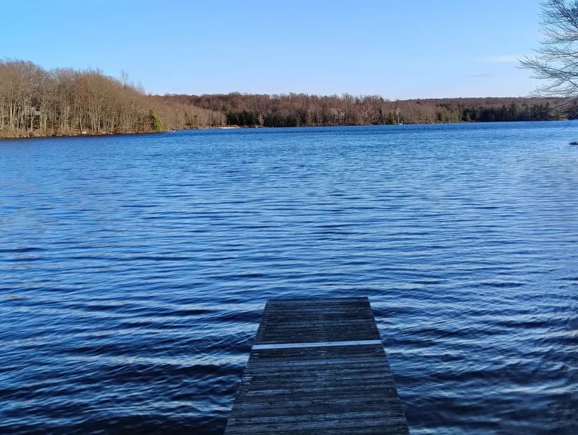 Lots & Land-Other in Gouldsboro