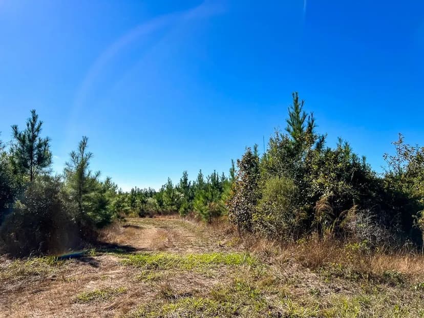 18 Acres | T-3 | FM 787 | 285012