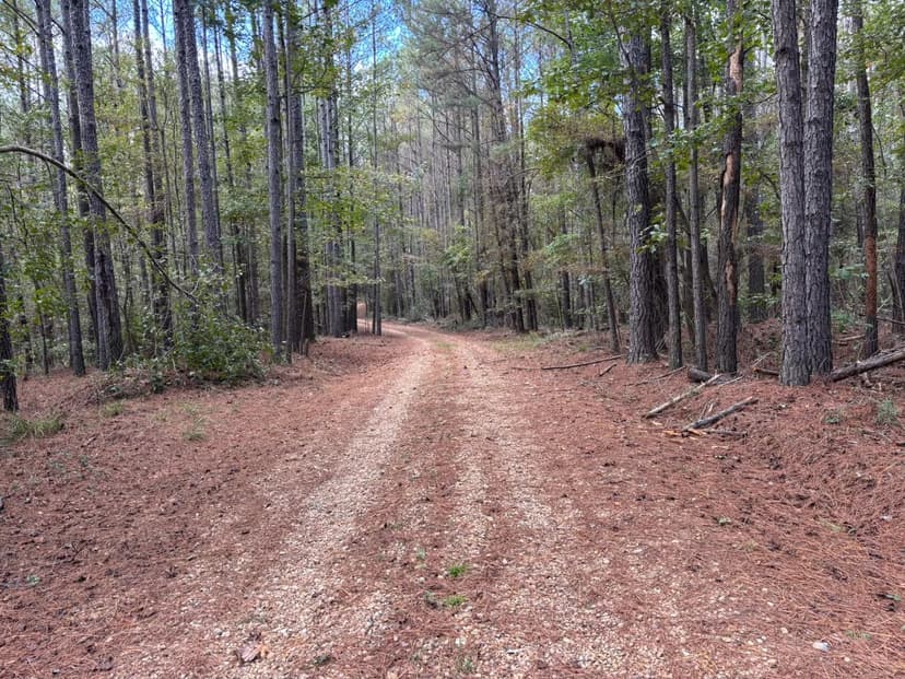 42.21 Acres in Rankin County, MS 
