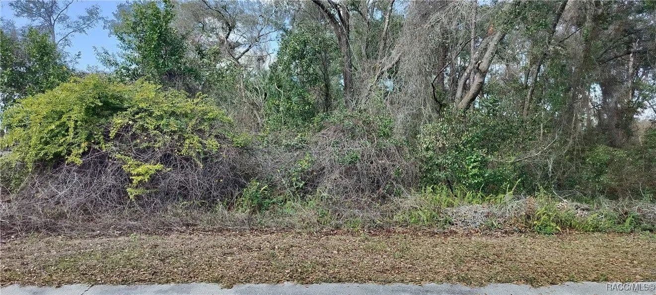 Lots & Land-Other in Inverness - Inverness, Florida, 34452