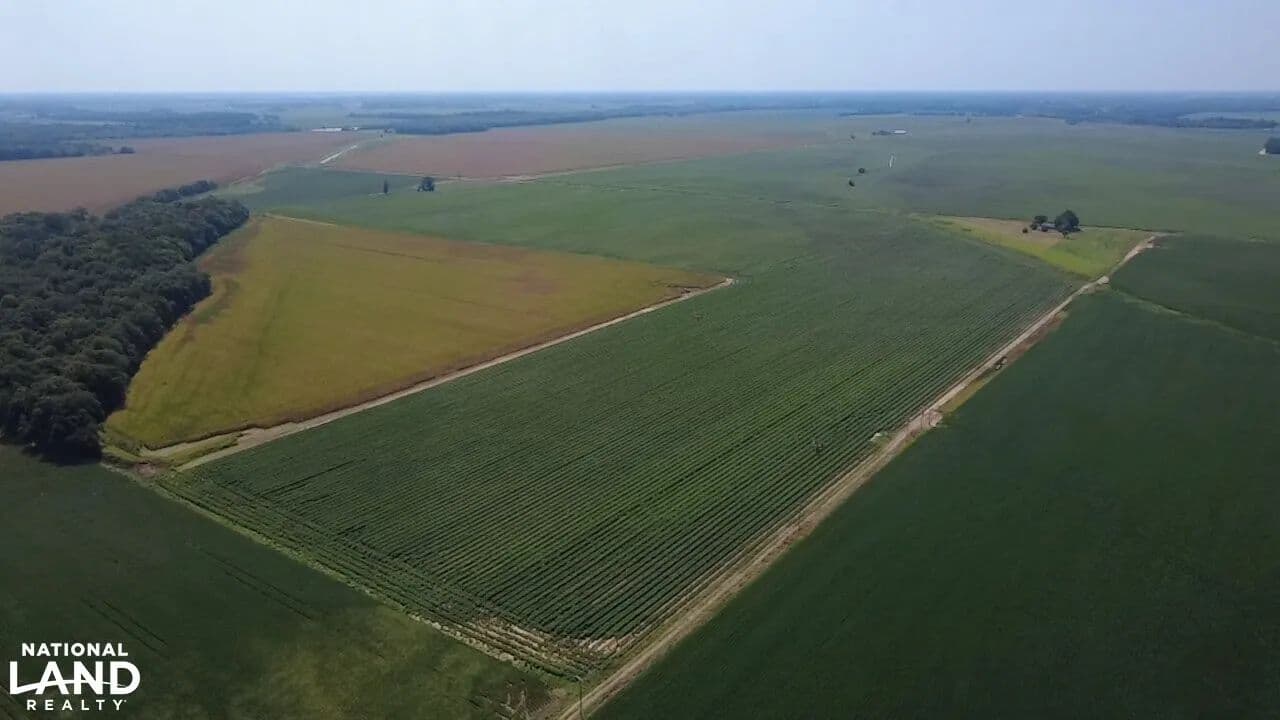 Shiloh Farm - Holly Grove, Arkansas, 72069