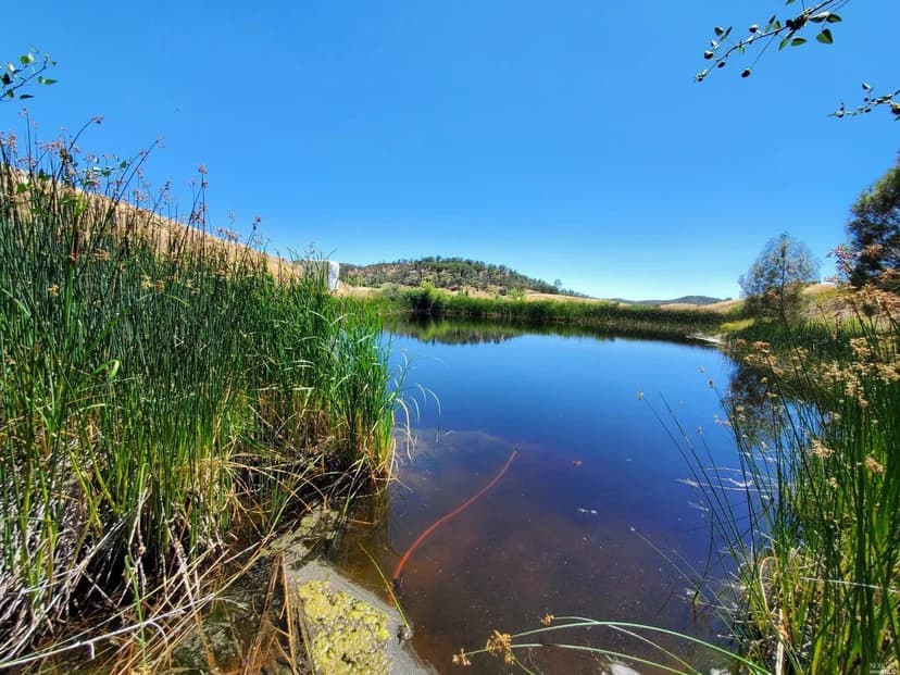 Vacant Land (10+ Acres) in Lower Lake