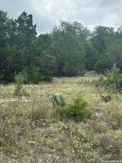 Lots & Land-Other in New Braunfels - New Braunfels, Texas, 78132