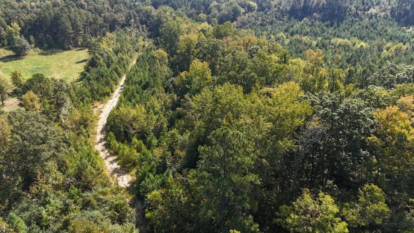 119 Acres - Holtzclaw Hills Tract