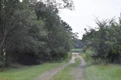 Vacant Land in Nesmith