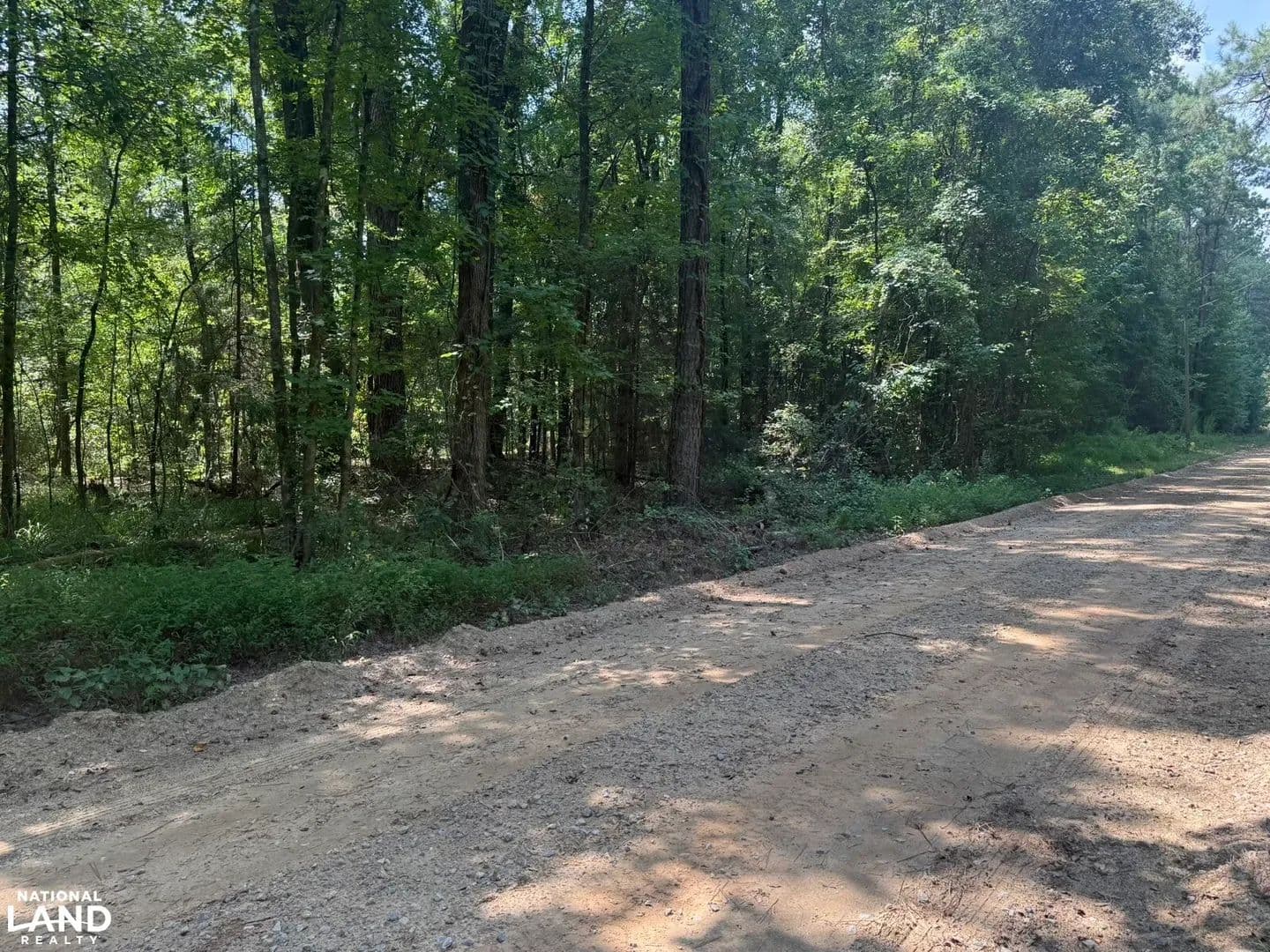 South Sumter Deer, Turkey and Waterfowl Tract - Belmont, Alabama, 35470