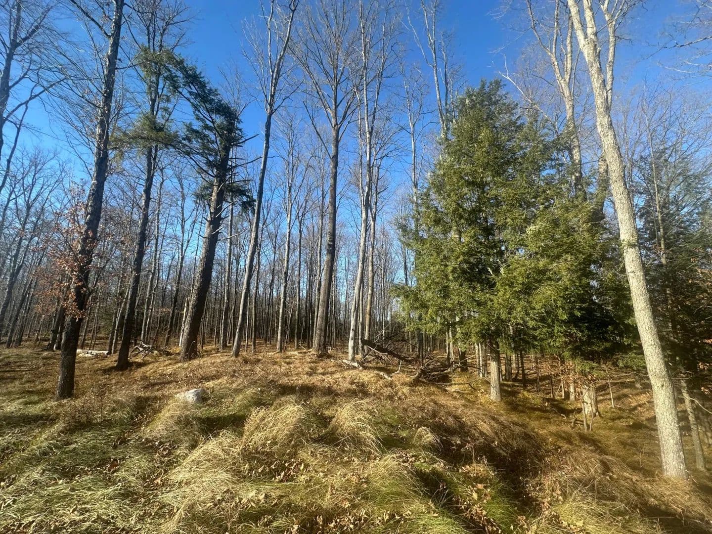 Land -Agricultural (Not Zoned) in Florence - Florence, Wisconsin, 54121