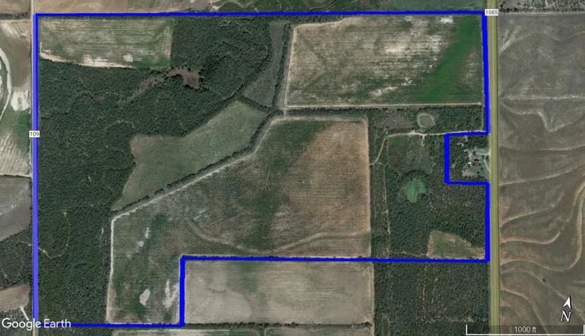 202 acres east of Roby, TX