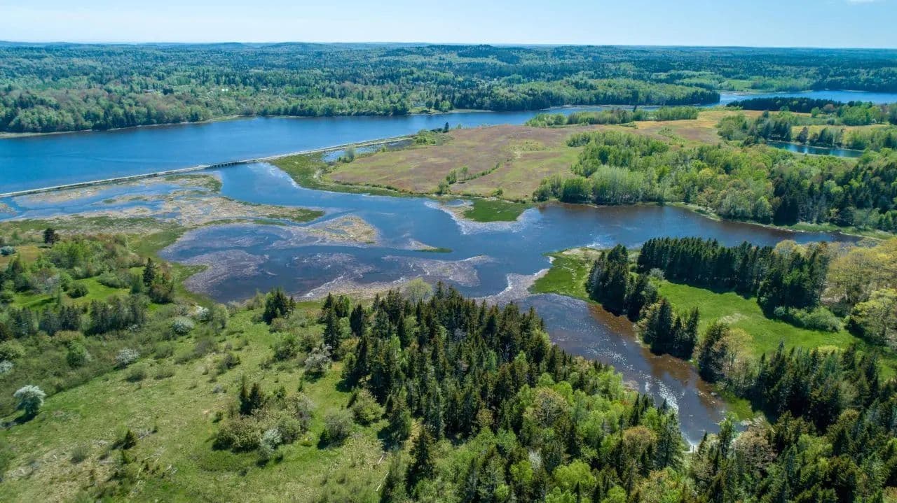 Land -Single Family Acreage in East Machias - East Machias, Maine, 04630