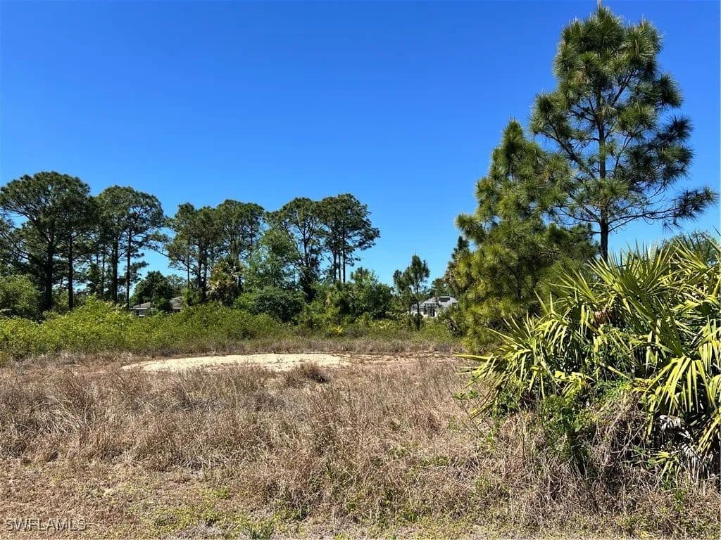 Vacant Land in Lehigh Acres - Lehigh Acres, Florida, 33974
