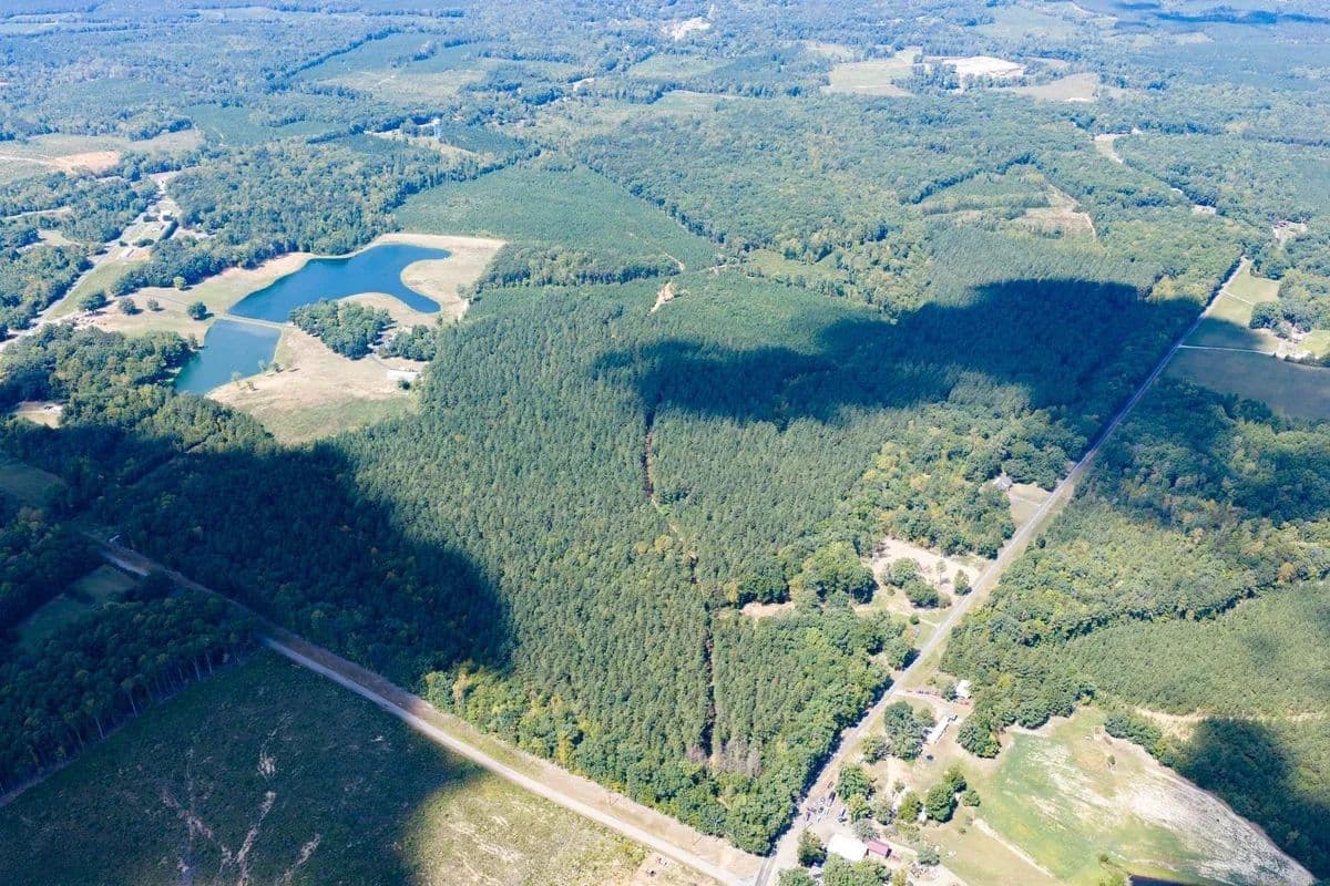 Jackson Tract - Drakes Branch, Virginia, 23937