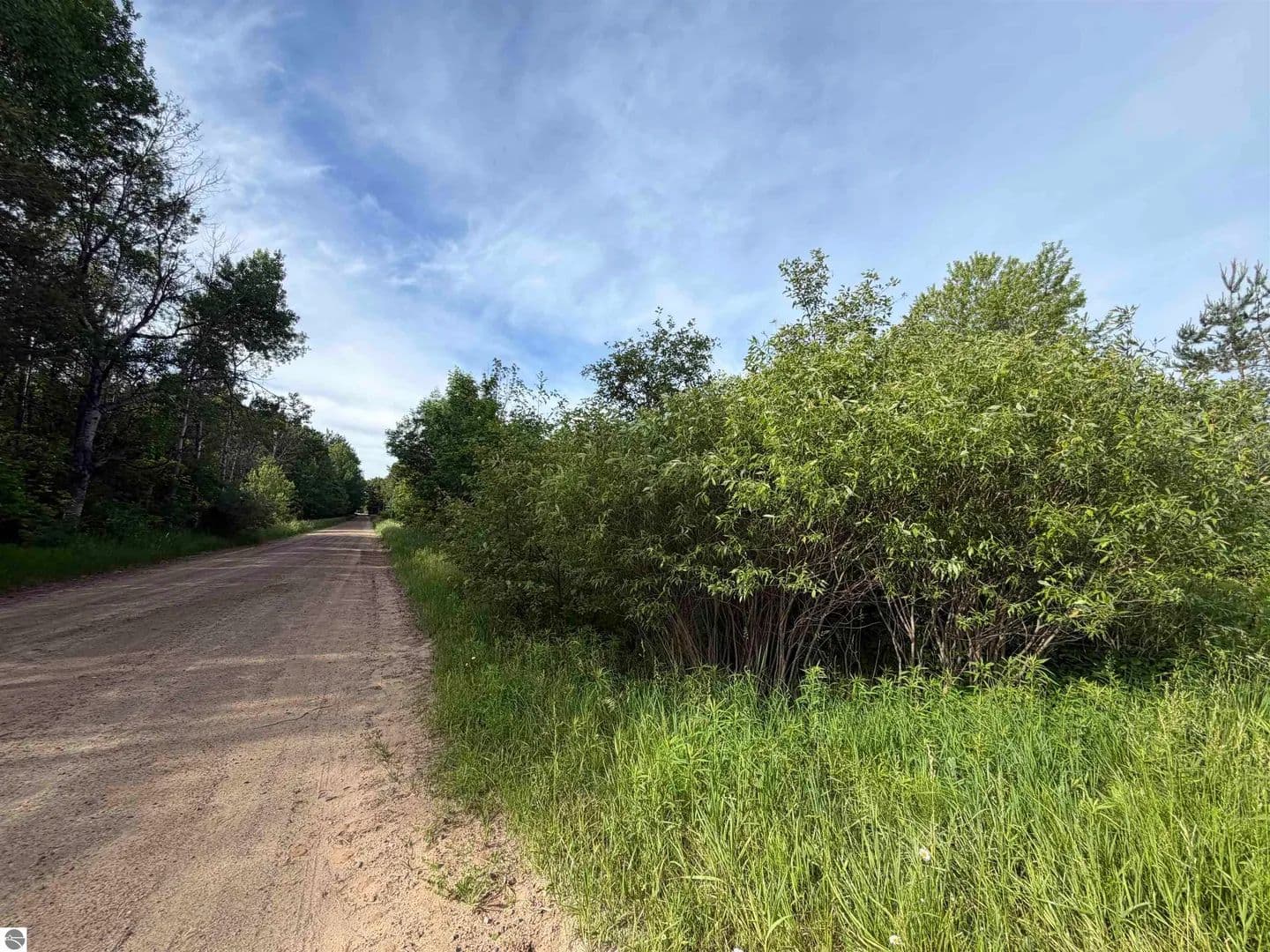 Vacant Land in Lake - Lake, Michigan, 48632