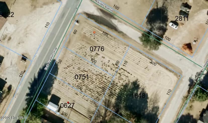 Lots & Land-Other in Hamlet