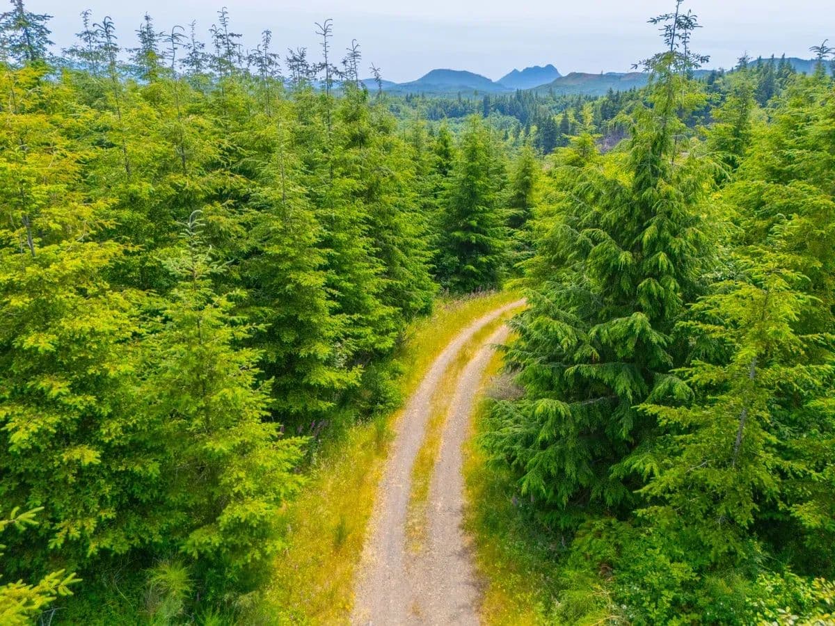Tucker Creek - Astoria, Oregon, 97103