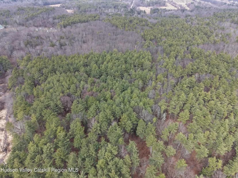 Property from Lot 54 Route 51 - KW