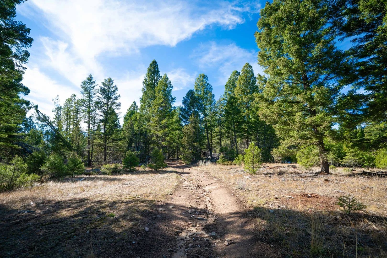 Lots & Land-Other in Whitehall - Whitehall, Montana, 59276