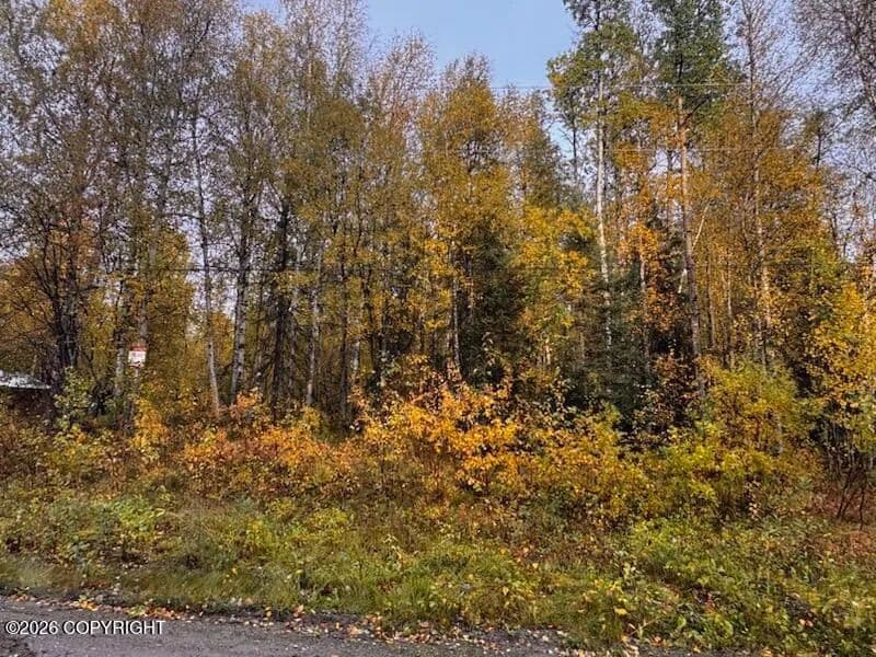 0.98 Acres of Land for Sale in Willow, AK - Willow, Alaska, 99688
