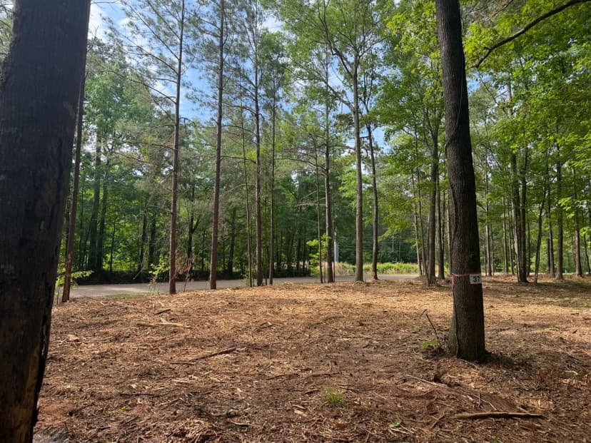 6.59 Acres in Rankin County, MS 