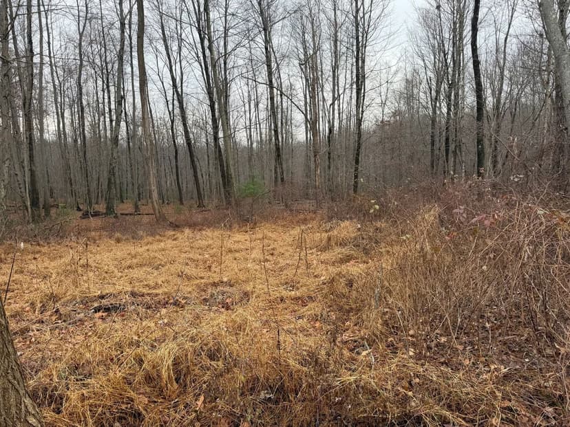 Property from 312 Merrow Road - KW