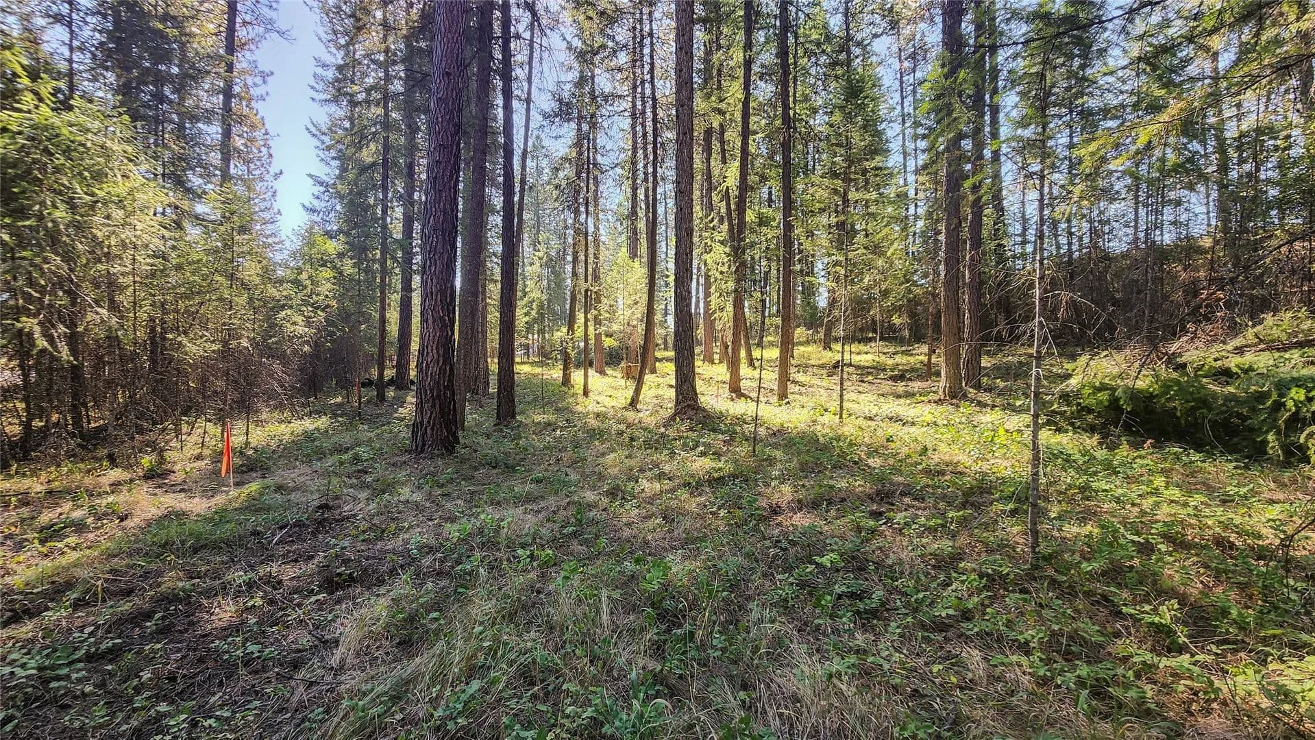 Property from 1505 Kootenai River Road - KW - Libby, Montana, 59923
