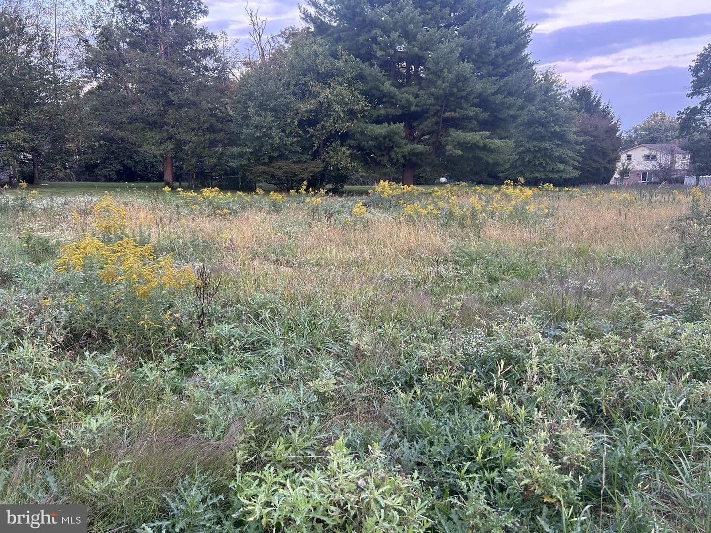 Vacant Land in Dover - Dover, Pennsylvania, 17315