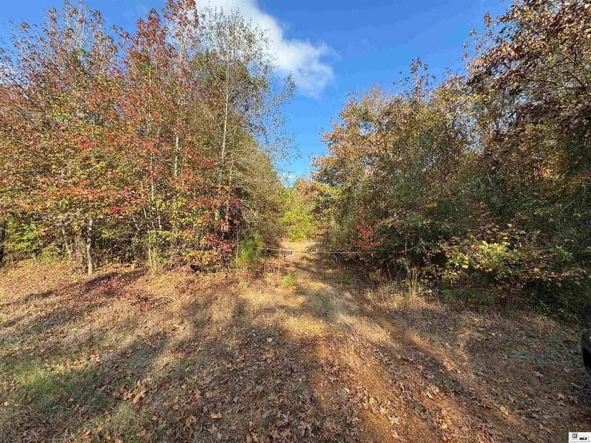 Lots & Land-Other in Downsville