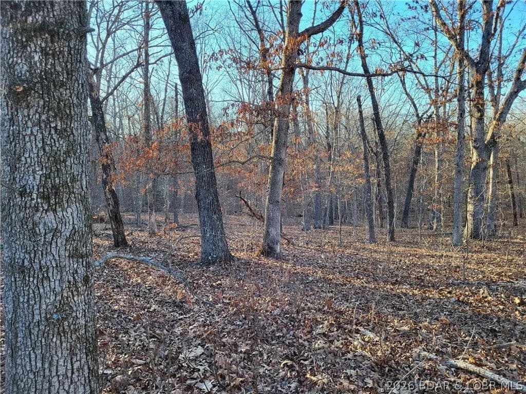 Lots & Land-Other in Edwards - Edwards, Missouri, 65326